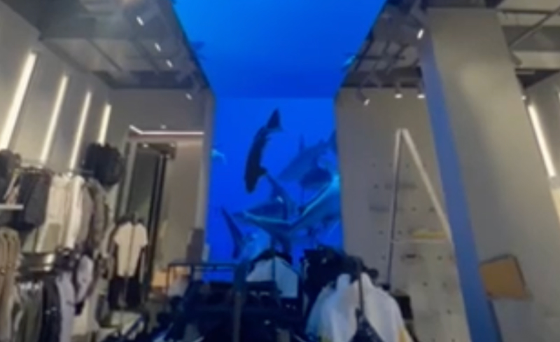 Indoor LED Display in Dubai Shopping Mall