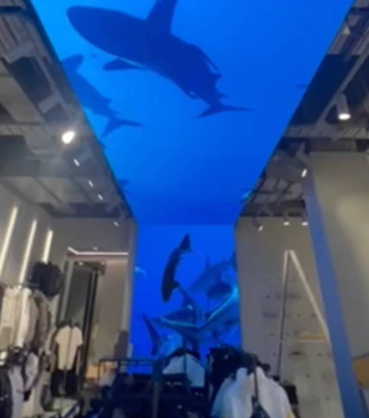 Indoor LED Display in Dubai Shopping Mall